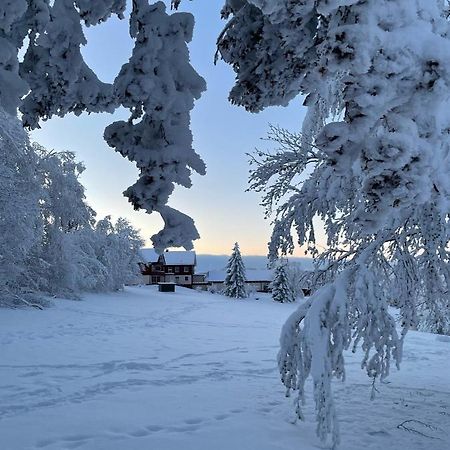 Gemuetliche Ferienwohnung Harz Braunlage Hohegeiss Eksteriør bilde