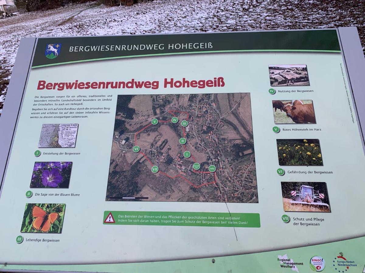 Gemuetliche Ferienwohnung Harz Braunlage Hohegeiss Eksteriør bilde