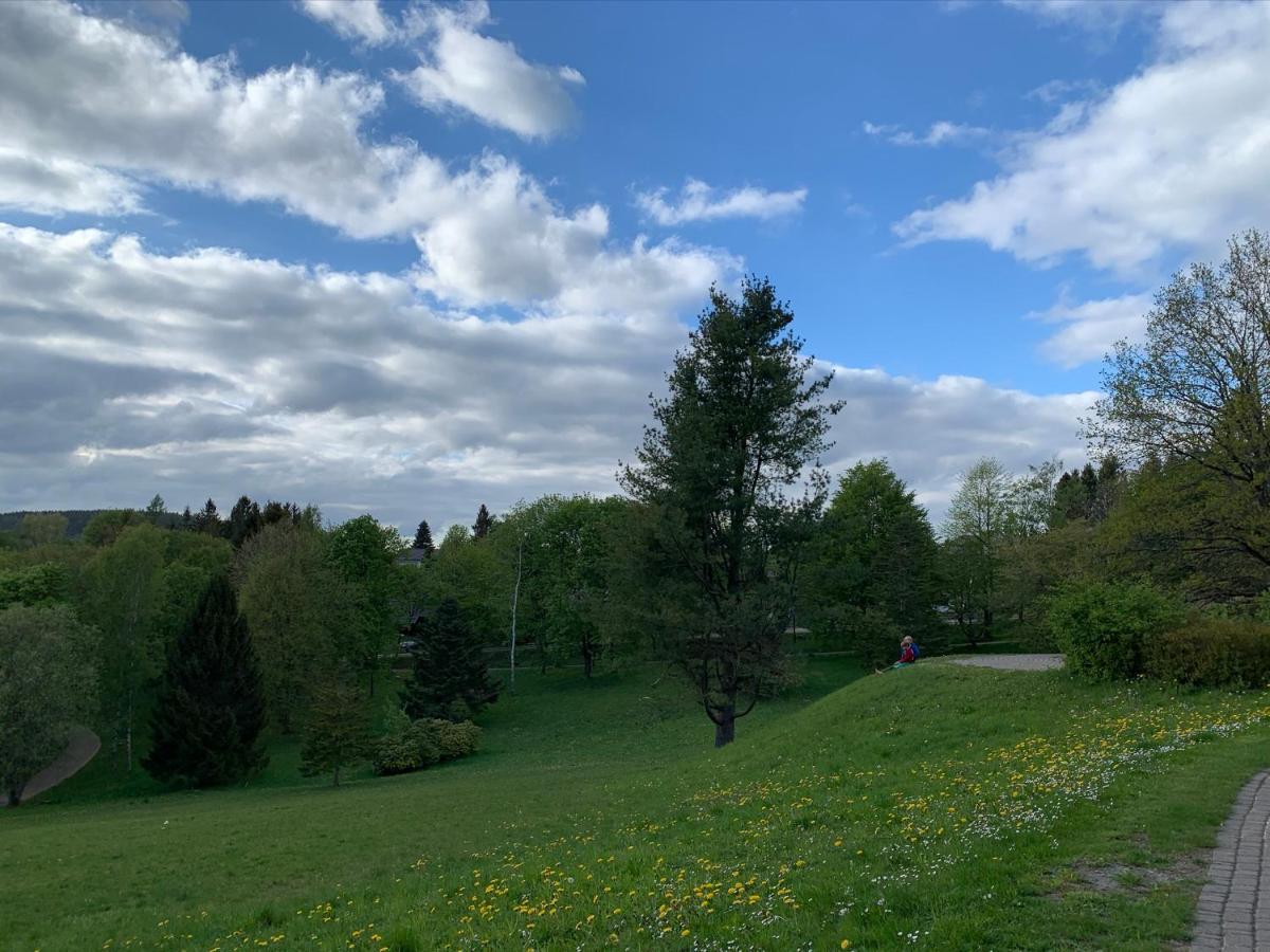 Gemuetliche Ferienwohnung Harz Braunlage Hohegeiss Eksteriør bilde