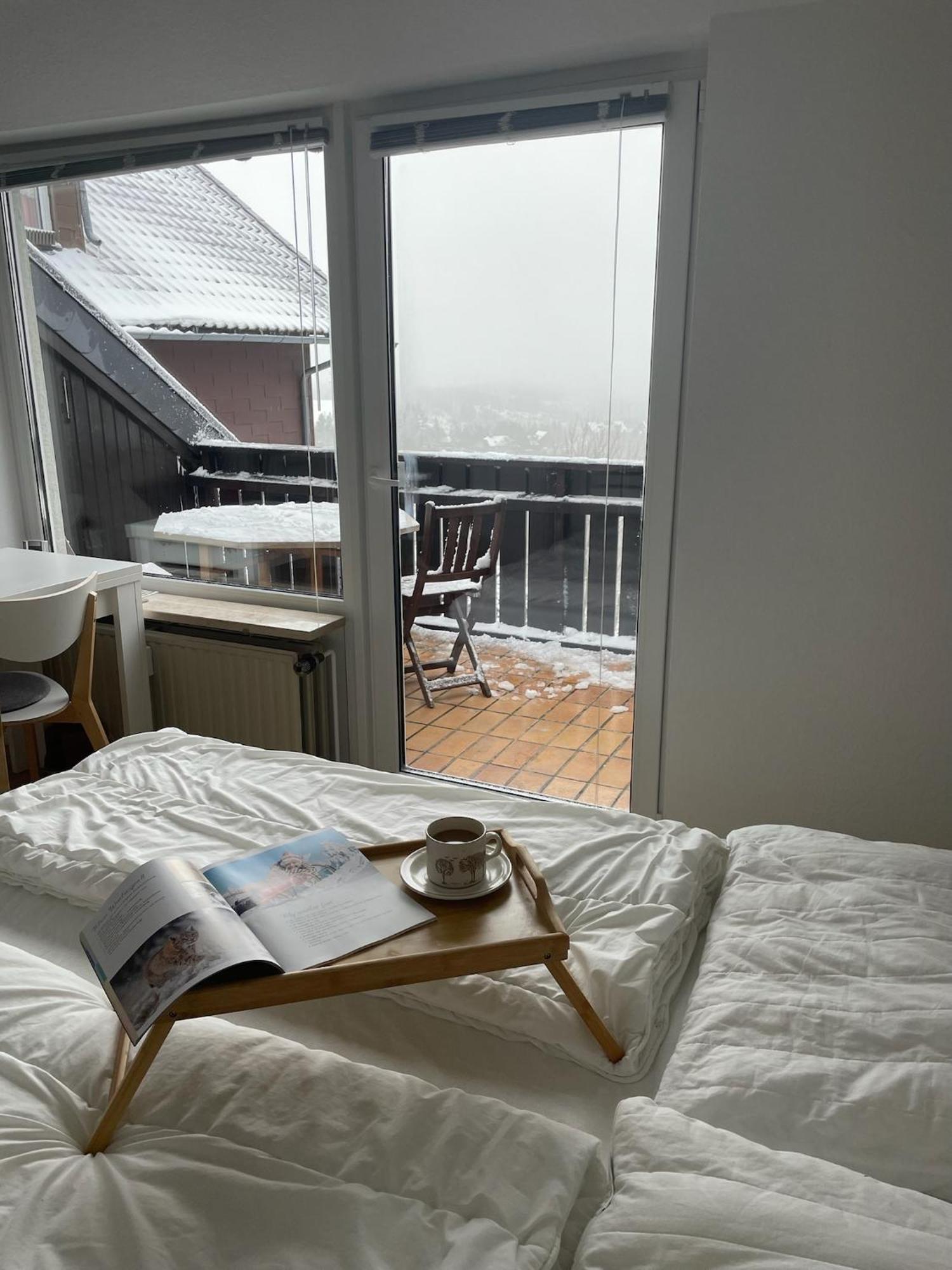 Gemuetliche Ferienwohnung Harz Braunlage Hohegeiss Eksteriør bilde